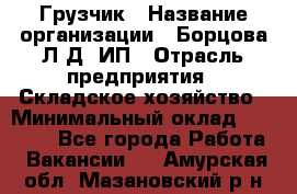 Грузчик › Название организации ­ Борцова Л.Д, ИП › Отрасль предприятия ­ Складское хозяйство › Минимальный оклад ­ 14 000 - Все города Работа » Вакансии   . Амурская обл.,Мазановский р-н